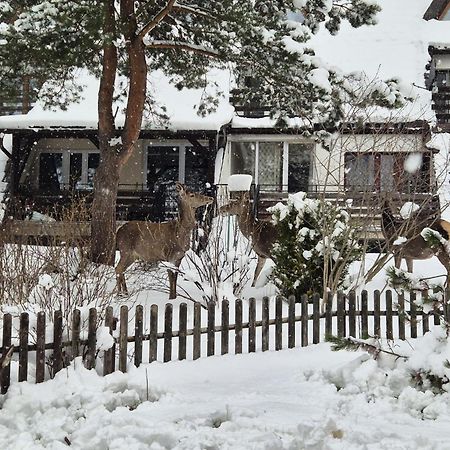 Apartament Wokol Stolu Закопане Екстериор снимка